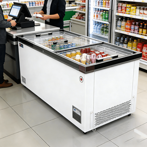 <span class=keywords><strong>Congelatore</strong></span> <span class=keywords><strong>Orizzontale</strong></span> con Sbrinamento Manuale, Copertura in Vetro Curvo, Controllo Digitale della Temperatura e Congelamento Rapido - Product Image 6