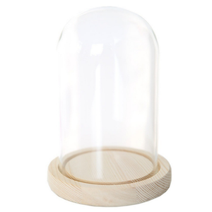 Cloche en verre borosilicate anti-poussière, motif feuille d'eucalyptus, haute résistance à la chaleur, dôme de présentation de fleurs, Saint-Valentin, Noël - Product Image 2