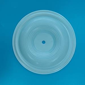 Reemplazos de alta precisión para bombas neumáticas de diafragma 08-1010-55 Repuestos de diafragma de <span class=keywords><strong>PTFE</strong></span> - Product Image 6