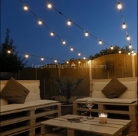 Guirlande lumineuse LED intelligente RGB en forme d'ananas avec télécommande musicale USB 5V pour la décoration de Noël, de terrasses et de tentes