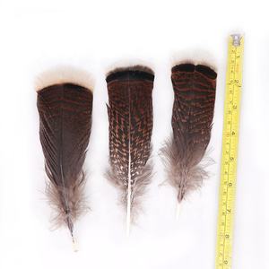 6-8 pollici (15-20 Cm) produttore cinese <span class=keywords><strong>Top</strong></span> all'ingrosso Best seller <span class=keywords><strong>piume</strong></span> di coda naturale tacchino fantasia <span class=keywords><strong>piume</strong></span> per la decorazione - Product Image 4