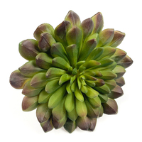 Plantes succulentes artificielles en PVC de haute qualité, écologiques, durables, mini plantes en pot pour la décoration de bureau et de la maison, aux couleurs vives