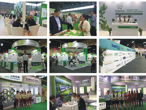 Marul Ekstresi Tozu Laktsin Lactuca Sativa Ekstresi Tedarik Yüksek Kaliteli Yabani Marul Ekstresi - Product Image 5