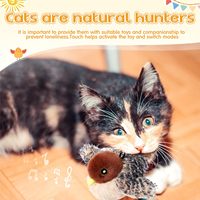 Jouet de chat oiseau battant avec sons gazouillis et noyau détachable-ailes Flappy interactives d'intérieur, catn