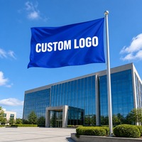 Drapeaux personnalisés pour événements en plein air, défilés, festivals, carnavals, fêtes, jeux sportifs, campus, dortoirs, décorations de déménagement, bannières et drapeaux