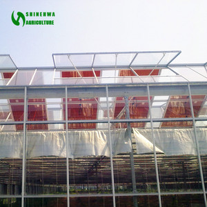 Grote Kas Voor Aardbei Landbouw In Mexico Landbouwproduct Met Verwarmingsapparatuur En Glazen Bedekking - Product Image 6