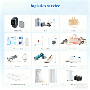 可靠的中国海运代理，从中国到欧洲、德国的空运/海运货运代理，从中国到欧洲、南非、法国的物流 - Product Image 3