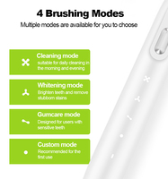 Brosse à dents électrique OEM avec batterie 2000 mAh, nettoyage sonique 38000 VPM, étanche IPX7, 4 modes