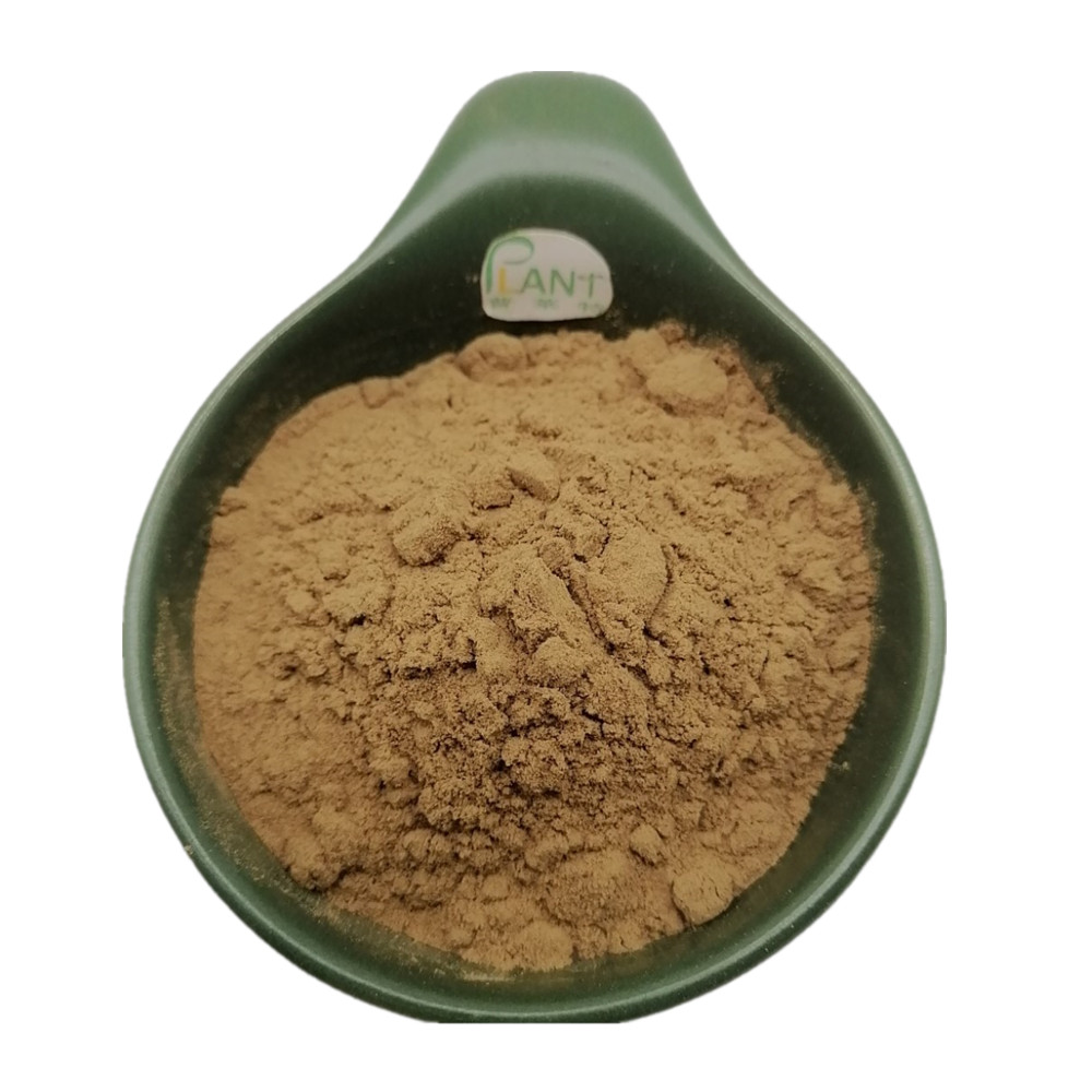 High Concentration 50:1 Radula Marginata Extract Powder - Natural Plant  Extract for Health Food Applications, 1kg Package Available