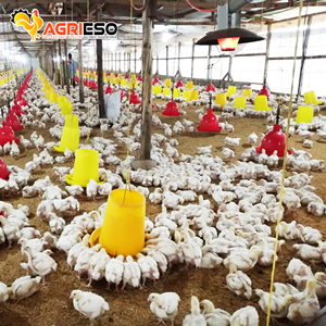 Peralatan Peternakan Unggas Pemanas Gas Otomatis untuk Ayam - Product Image 5