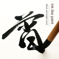 Encre noire riche faite à la main à base de suie d'huile Red Star, 250g/500g, grande bouteille, pratique de la calligraphie pour les étudiants, peinture chinoise, Shandong