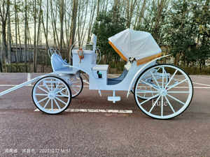 Chariot de tourisme à chevaux à 2 rangées pour transport spécial à vendre / Chariot à chevaux à vendre - Product Image 4