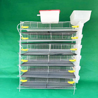 Équipement d'élevage commercial pour cailles, cage à batterie pour cailles, cage à cailles de type H, à vendre
