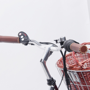 Bicicleta Eléctrica con Cuadro y Horquilla de <span class=keywords><strong>Cromoly</strong></span>, Bicicleta Eléctrica para Mujer - Product Image 6