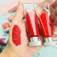 Vente en gros Ice Cube Lipgloss Mat Imperméable Longue Durée Liquide Rouge à Lèvres Avec Marque Privée