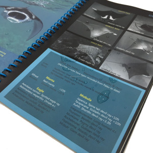 Tyvek-impresión de papel a la Carta, impresión de folletos a prueba de agua/Revista Profesional, libro de fotos, servicios de impresión de folletos baratos - Product Image 4