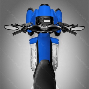 Veicolo a Tre Ruote ad Alta Velocità 70KM/H, Motore 3000W, Due Ruote Anteriori, Motocicletta con 2 Batterie Grandi - Product Image 3