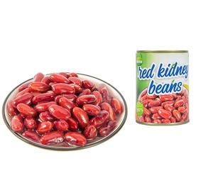 فاصوليا حمراء معلبة في محلول ملحي بسعر رخيص وشعبية كبيرة - Product Image 1