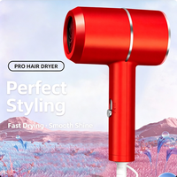 Coffret Cadeau Complet de Soins Capillaires Wisteria, Sèche-Cheveux Portable, Peigne à Coussin d'Air en Plastique ABS, Masseur de Cuir Chevelu, Salon de Beauté de Luxe