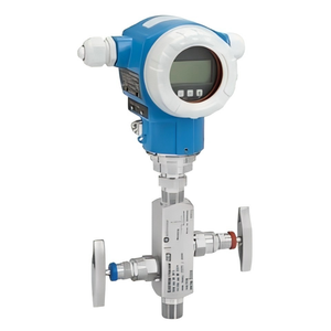 Nouveau 100% Original authentique radar à ondes guidées Instrument de mesure de niveau E + H FMP50 nivelmètre FMP50 bon prix Offres Spéciales - Product Image 5