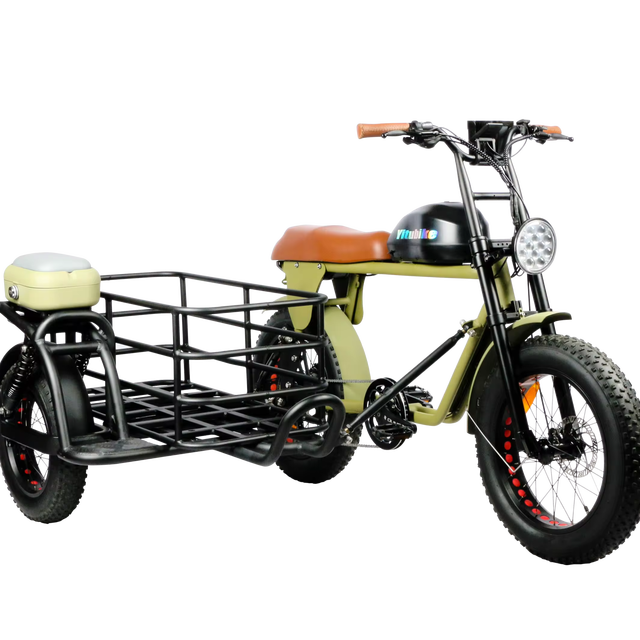 Three Wheels Long Range 20ah 35ah 55 Ah Dual Battery Optional Motorcycle for Adult Cargo Electric Bike Hub Motor Electric Trike