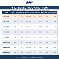 Pompe de circulation d'eau pour piscine PIKES, débit puissant et stable, système de filtration durable et fiable, installation facile