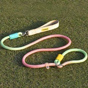 Huisdier Hond Kat Accessoire Mode Verloopkleuren Strakke Training Nylon Luxe Touw Slip Lead Hondenhalsband En Leash Set - Product Image 2