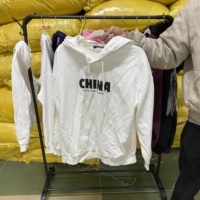 Sweat-shirts à capuche d'occasion en gros pour les friperies et les revendeurs – Lots de sweats à capuche usagés