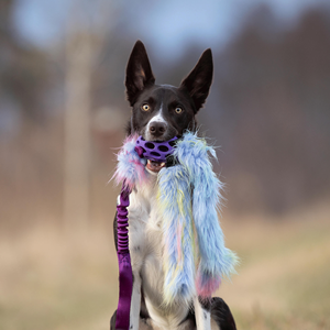 Juguete de Peluche para Perro, Ecológico, de Pelo Sintético, Interactivo, para Jugar al Aire Libre, de Alta Calidad, para Masticar - Product Image 2