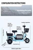 Tricycle électrique pliable portable à 3 places, double propulsion, panier de rangement, excellente capacité de montée, pour parents et enfants, transport de personnes âgées, charge de 200 kg