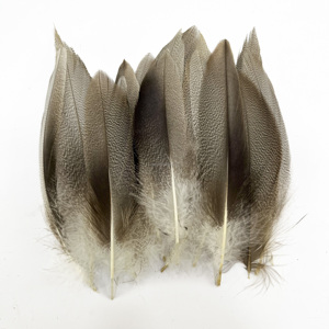 Pluma de pato bronceado natural de un solo proveedor al por mayor para materiales de pesca con mosca y suministros para atado de moscas de trucha - Product Image 1