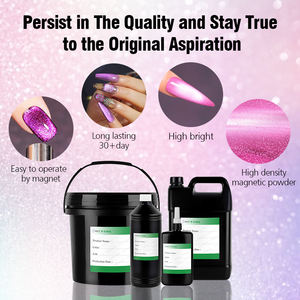 R S Offre Spéciale à ongles 368 couleurs yeux de chat Gel <span class=keywords><strong>vernis</strong></span> 1Kg baril en vrac <span class=keywords><strong>vernis</strong></span> Semi <span class=keywords><strong>Permanent</strong></span> colle à ongles résine Gel <span class=keywords><strong>vernis</strong></span> en gros - Product Image 2