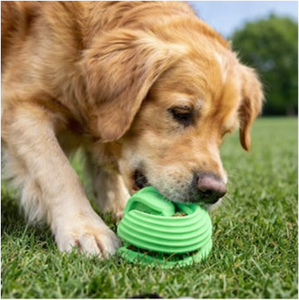 Jouet à mâcher pour chien de compagnie, durable, indestructible, distributeur de nourriture, balle en caoutchouc, divertissement autonome, balle anti-ennui, <span class=keywords><strong>intera</strong></span> - Product Image 2