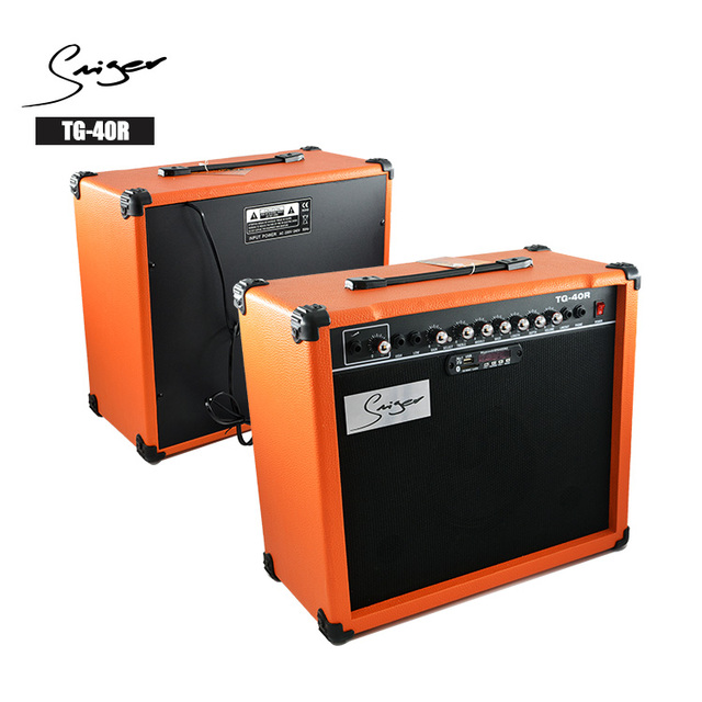 Wholesale Price 40 Watt Custom Electric Guitar Amplifier With Microphone Input