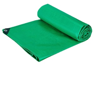 Film <span class=keywords><strong>de</strong></span> <span class=keywords><strong>paillage</strong></span> agricole d'urgence extérieur 120 g/m² en PE tissé, écologique, imperméable, anti-herbe, pour usage <span class=keywords><strong>de</strong></span> construction, Chine - Product Image 1