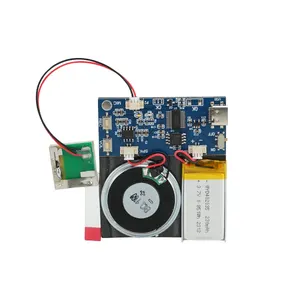 Sound Module With Slide Tongue Switch For Greeting Cards