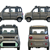 Quadricycle électrique pour adultes BAIMA avec climatisation, 4 portes, mini voiture électrique pour usage familial, moteur 2000W, autonomie 100 km, certifié EEC