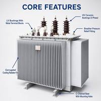Transformateur de distribution immergé dans l'huile à enroulement en cuivre triphasé Wanbo-301 haute efficacité 315 kVA 10 kV 0,4 kV