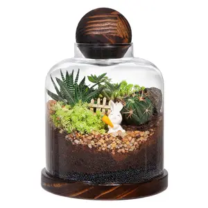 גדול זכוכית חממה עסיסי צמח חממה בית עבור צמח מוס כדור מיני אקווריום זכוכית שולחן עם עץ בסיס