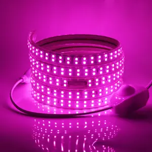 48伏60发光二极管/米柔性发光二极管灯条照明超亮度贴片2835发光二极管灯条