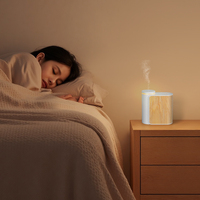 2025 Tik-Tok vente chaude bois Design sans eau lumière LED minuterie parfum 5ml 10ml 15ml essentiel 0il diffuseur Machine désodorisant