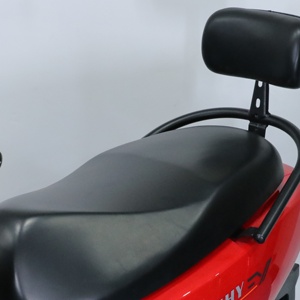 Bicicleta Eléctrica para Adultos 2025 con Motor sin Escobillas de 1000w, Batería de Plomo-Ácido, Piezas Electrónicas Digitales Zhanshen, E-bike de 1000w - Product Image 2