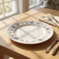 Nouvelle assiette en mélamine écologique de 9 pouces pour hôtel et restaurant, personnalisable, durable, design moderne, pour les mariages et les fêtes