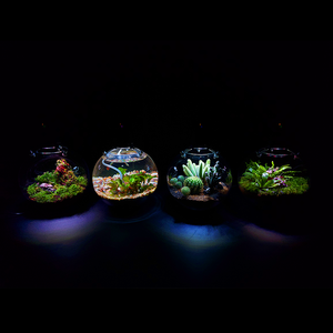 Шарик для выращивания растений - Product Image 5