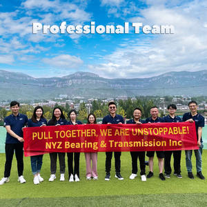 Rodamiento rígido de bolas de acero cromado 6305 RS Clasificación de precisión P5 de una sola fila Sellos ZZ para industrias de restaurantes químicos de alimentos - Product Image 5