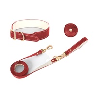 Ensemble de laisse pour collier de chien Airtag Vente en gros Stock de luxe Personnalisé Designer Western Recyclé Collier en cuir imperméable pour animaux de compagnie Tracker