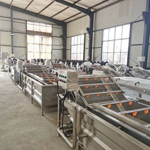 Ligne de traitement des légumes TEKFOOD, lavage et découpe du chou, laveuse à brosses pour carottes, machine de lavage et de nettoyage des tomates à vendre - Product Image 5