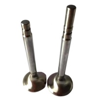 Pièces de rechange d'origine pour moteur diesel marin MTU 20V1163 TB83 5800530101 Valve d'admission