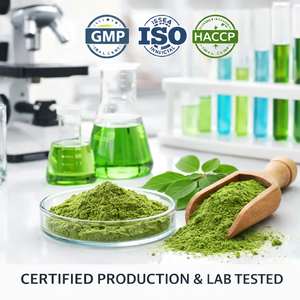 Moringa <b>Extract</b> Natural Herbal Powder Fine Quality Plant <b>Extract</b> for Wellness Use Smoothies and Bulk Supply - Product Image 4