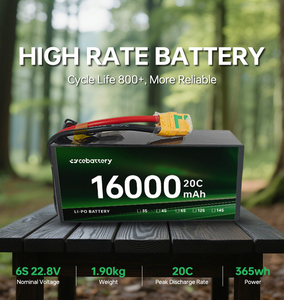 Promotion à Durée Limitée : Batterie Semi-Solide Haute Tension pour Drone/UAV 10000mAh-6S, 16000mAh, 4.35V, 6S, 12S, 14S - Product Image 2